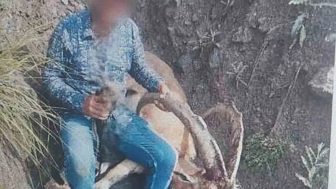 Kars'ta Yaban Keçisi Avlayan Bir Kişiye 650 Bin Lira Ceza Kesildi!