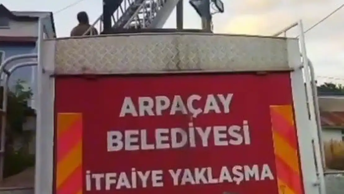 Kars'ta Yuvadan Düşen Yavru Leylek Tekrar Yuvaya Kavuştu
