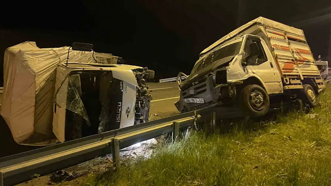 Kars'taki kazada 3 yaralı, 1 büyükbaş hayvan telef oldu