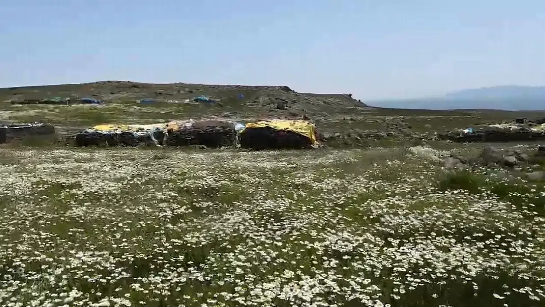 Kars'taki Köylüler Yayla Hazırlıklarını İş Birliğiyle Yapıyorlar