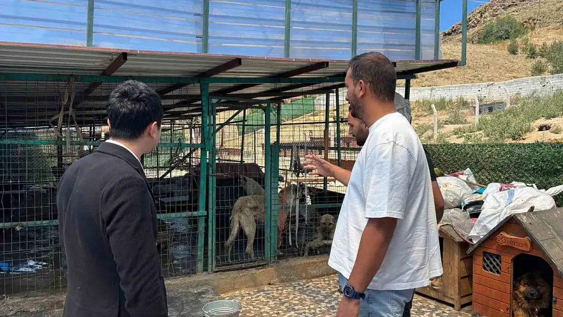 Kaymakam Tutal, Hayvan Barınağı'nı ziyaret etti