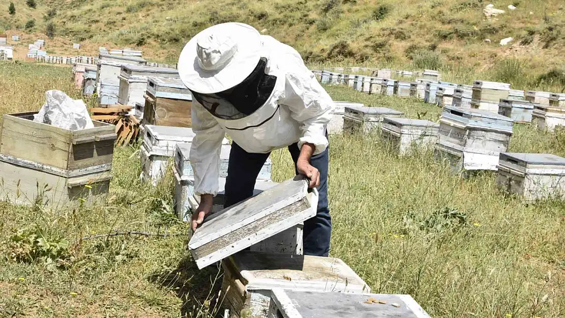 Kuraklık, Bitlis'teki Arıcıların Geleceği Hakkında Endişeleri Artırıyor