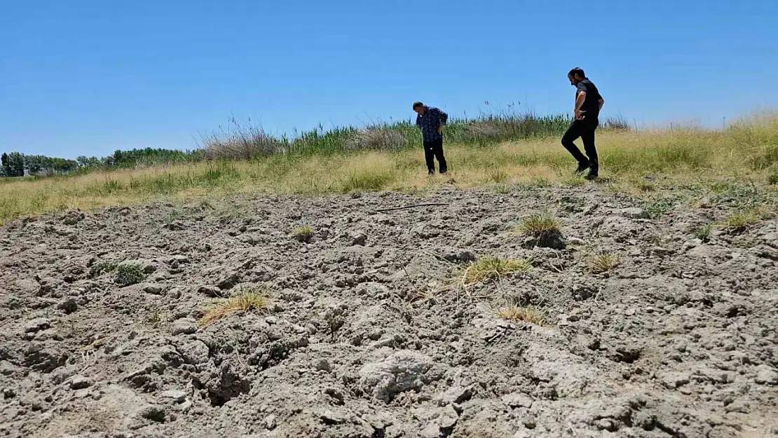 Kuraklık nedeniyle Heybeli Gölü tamamen kurudu, doğa ve canlılar perişan oldu