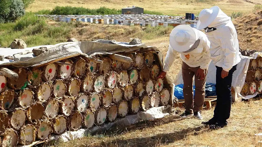 Küresel Isınma Arıcıları Endişelendiriyor