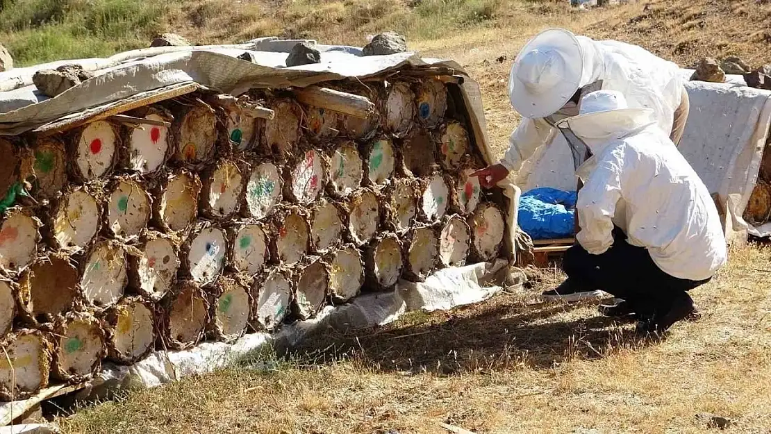 Küresel Isınma Van'daki Bal Verimini Tehdit Ediyor, Arıcılar Uyarıyor