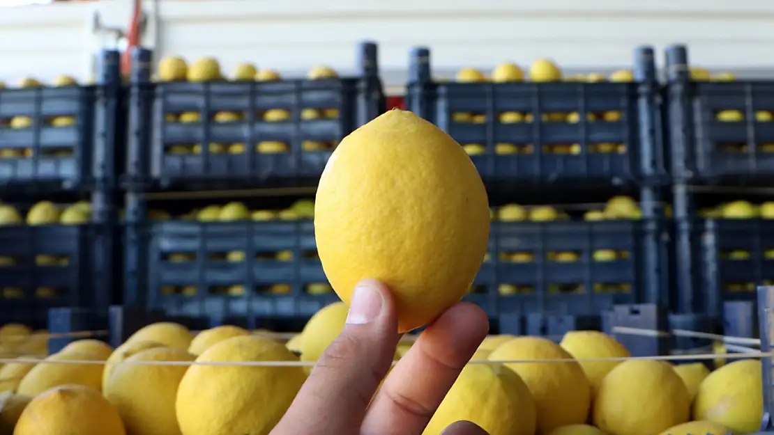 Limon Fiyatları Uçtu! Salataların Olmazsa Olmazı Artık Pahalı Bir Lüks Haline Geldi