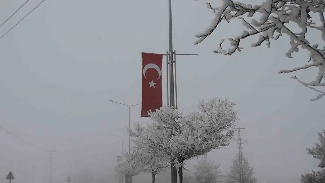 Malazgirt'te Sibirya soğukları