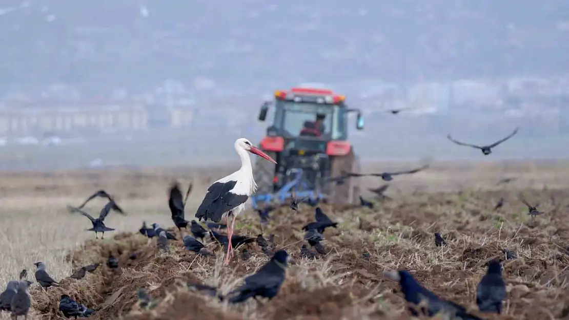 Mart'ta Türkiye'de 195 bin taşıt kaydedildi, Erzurum'da artış