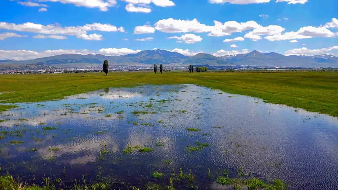 Meteoroloji'den yağış ve rüzgar uyarısı! 12. Bölge dikkat!