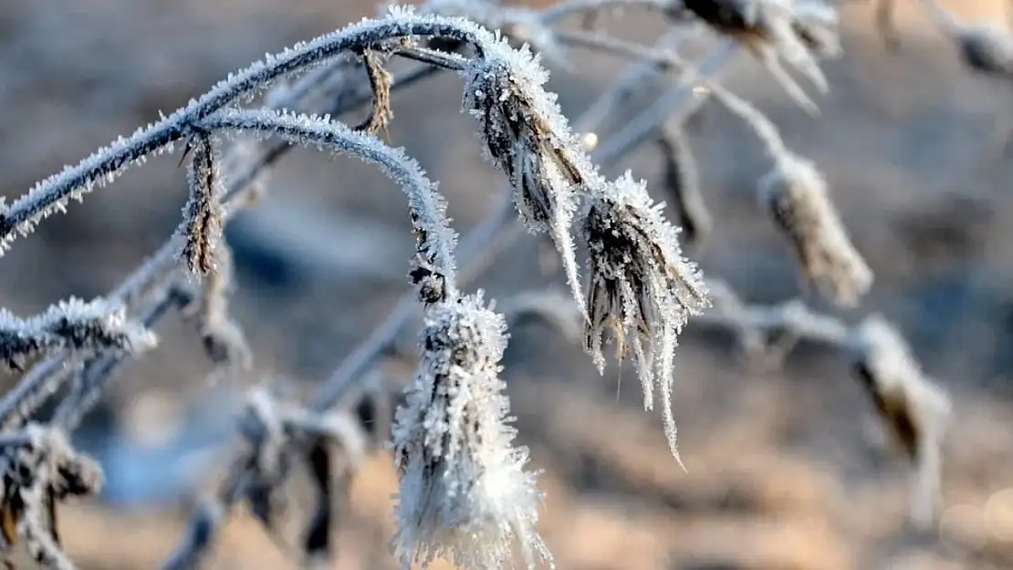 Meteorolojiden zirai don uyarısı