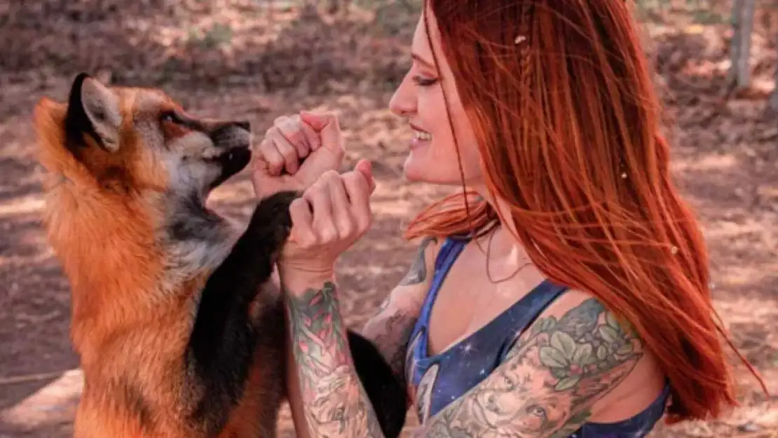 Mikayla Raines kimdir, neden öldü? Save a Fox kanalının sahibi)