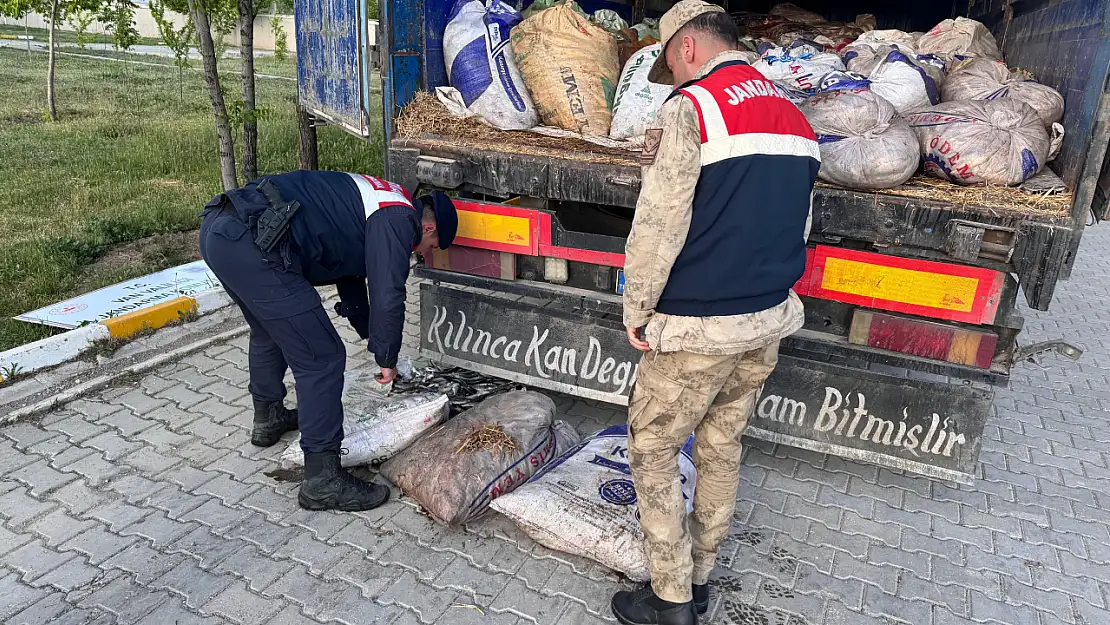 Muradiye'de Kaçak Avlanan 19 Ton İnci Kefali Balığı Ele Geçirildi