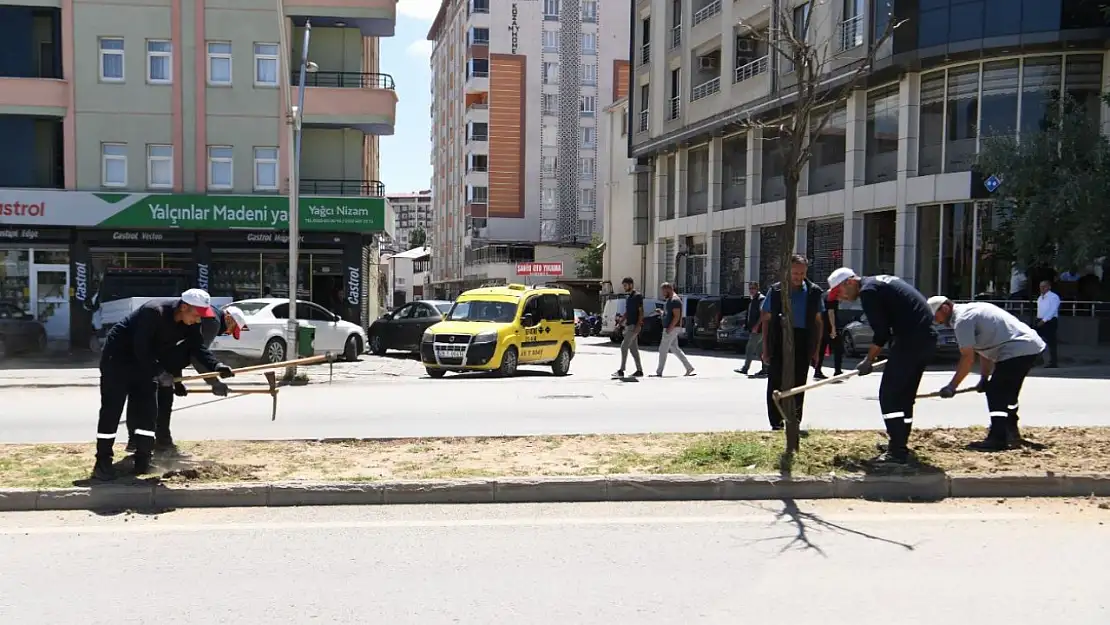Muş İstasyon Caddesi'nde yeşillendirme projesi, şehrin doğasına katkı sağlıyor