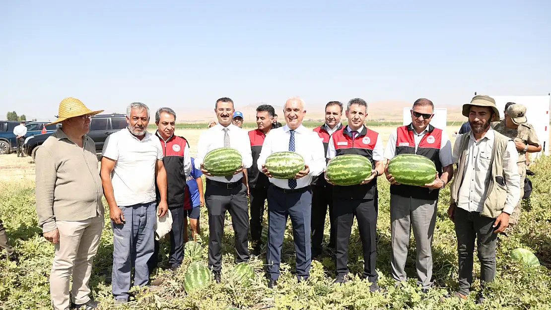 Muş Ovası'nda Karpuz Hasadı Başladı: Bereket Zamanı Çiftçilerle Paylaşıldı