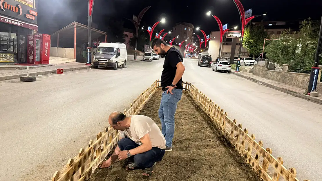 Muş'ta Hastane Çevresi Yeşilleniyor: Refüj ve Kavşaklar Yenileniyor