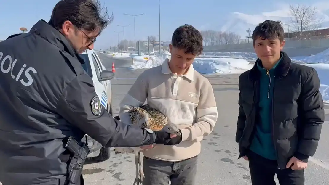 Muş'ta iki kardeş yaralı toy kuşunu kurtarıp yetkililere teslim etti