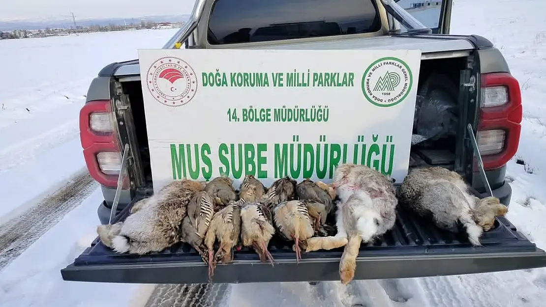 Muş'ta kaçak avcılara rekor ceza