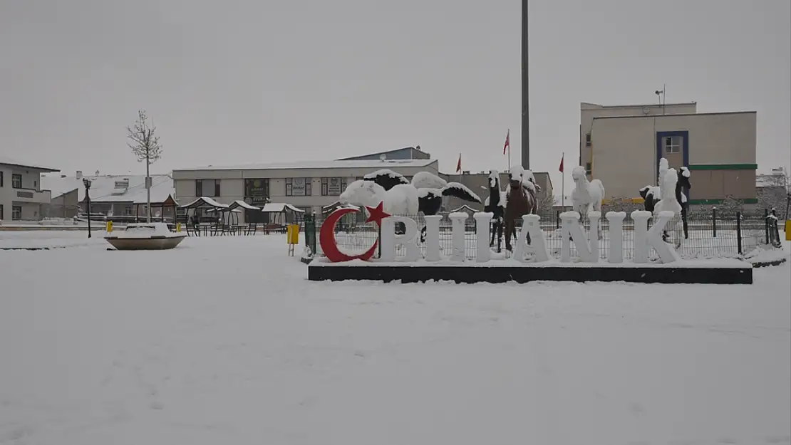 Muş'ta kar yağışı ulaşımı olumsuz etkiledi