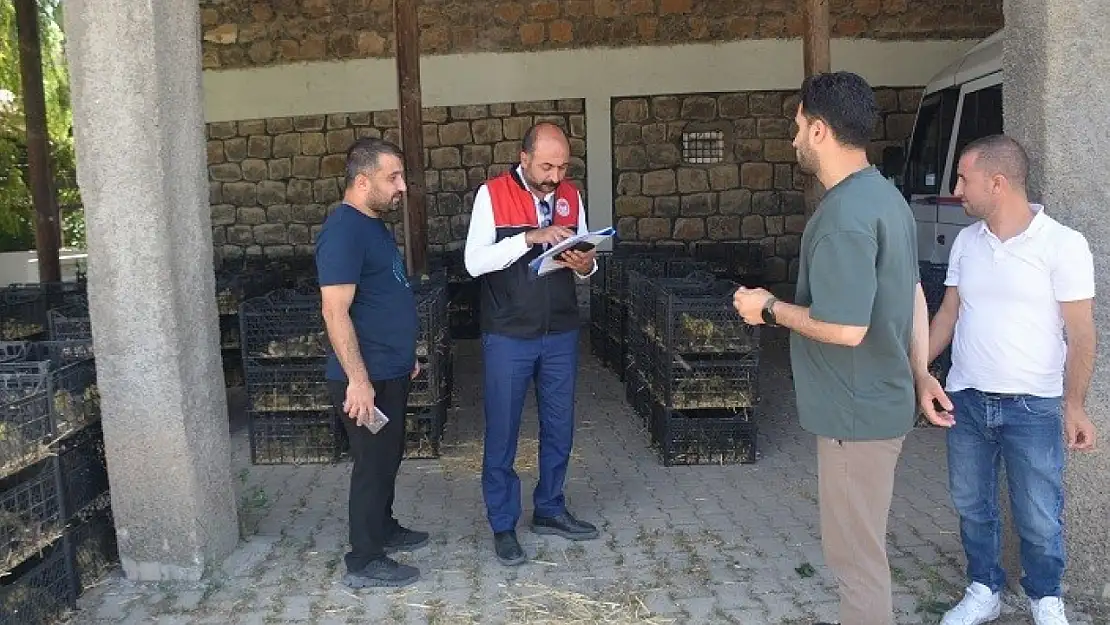 Muş'ta Kaz Yetiştiriciliği Projesi ile Kırsal Kalkınmaya Yeni Destek