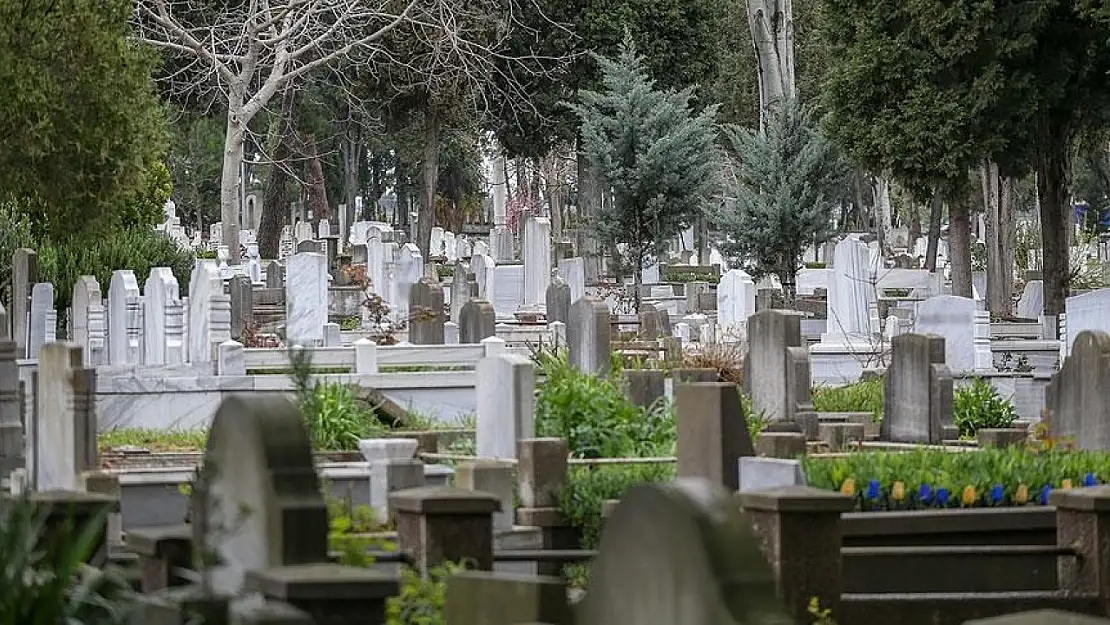 Ölüm oranlarında düşüş: 2024 istatistikleri dikkat çekti