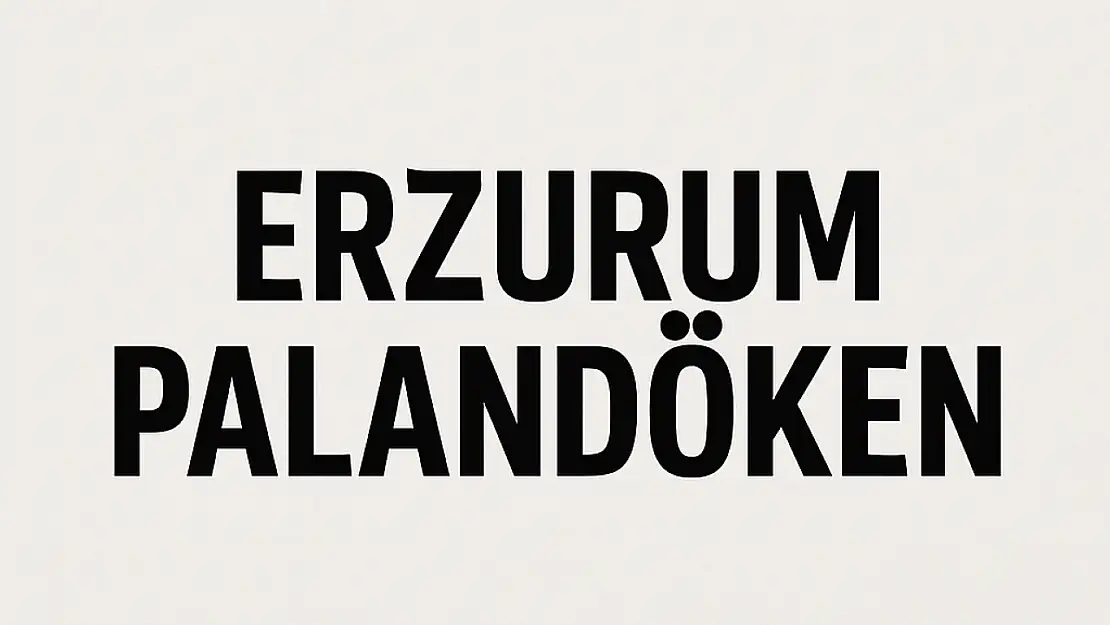 Palandöken Nüfusu – Erzurum'un Yükselen Yerleşim Merkezi ve Mahalle Dağılımı