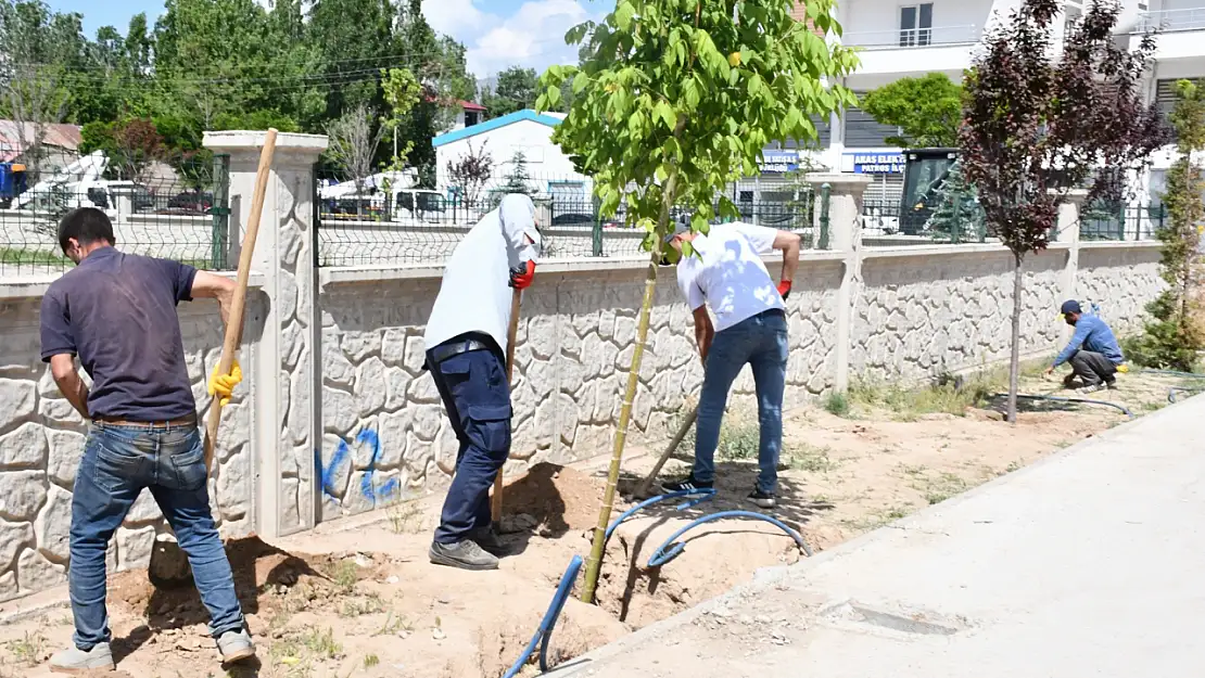 Patnos Belediyesi'nin modern park projesi hızla devam ediyor