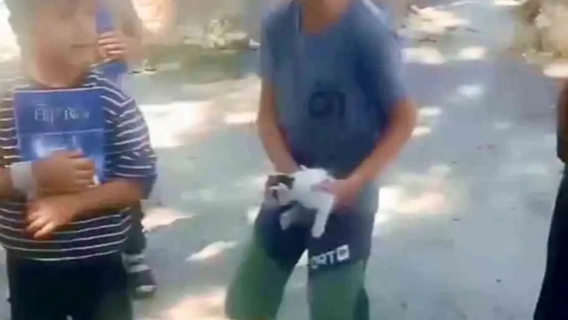 Patnos'ta çocukların dikkati yavru kedinin hayatını kurtardı