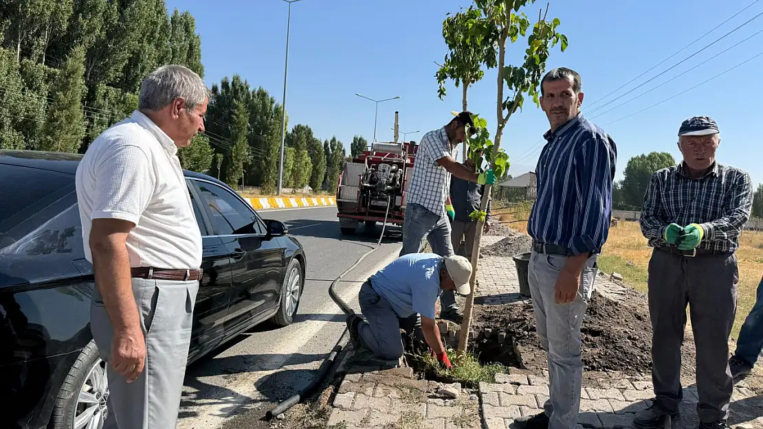 Patnos'ta Malazgirt yolu kavşağı yeni fidanlarla canlanıyor