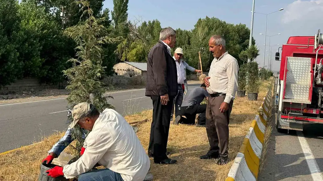 Patnos'ta şehir estetiği için ağaçlandırma çalışmaları devam ediyor