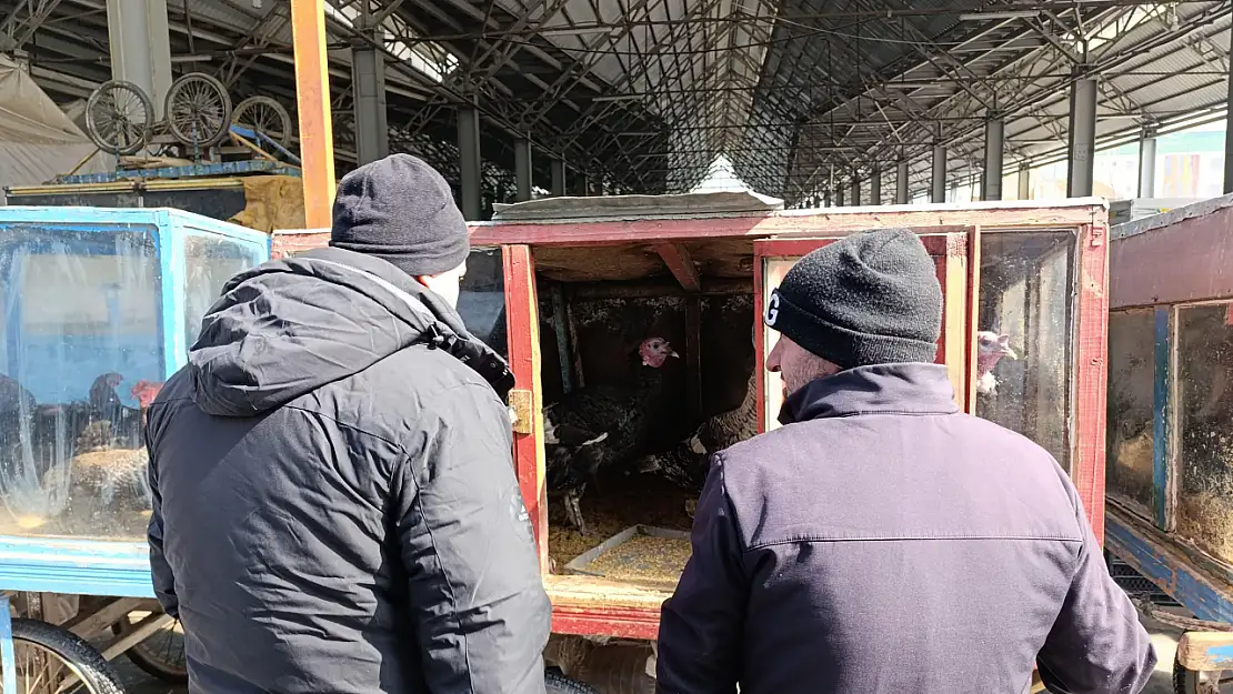 Ramazanda organik beslenmek isteyen Ağrılılar canlı tavuğa yöneldi