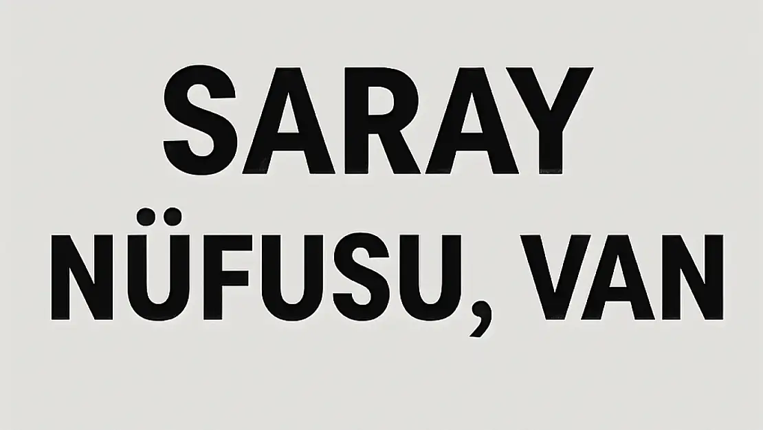 Saray İlçesi Nüfusu Van  ve Mahalle Bazlı Demografik Yapı