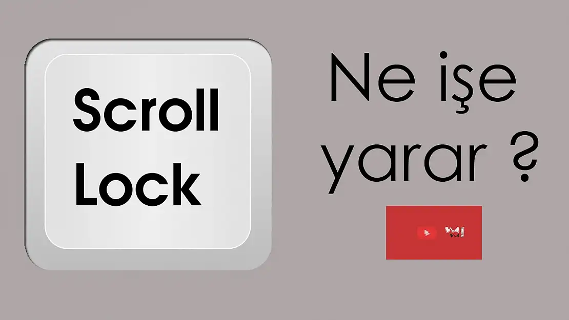 Scroll Ne Demek?