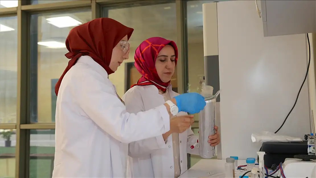 Şeker Pancarı ile Atık Sulardaki Antibiyotiklerin Zararları Ortadan Kaldırıldı