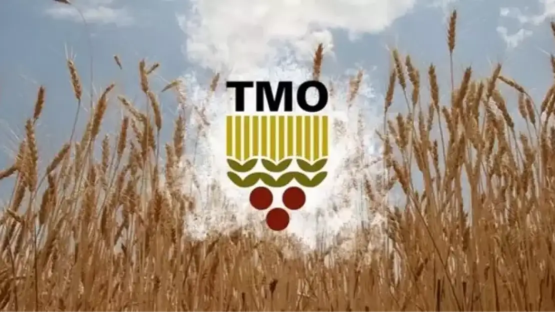 Serbest piyasada son durum ne? 2025 Toprak Mahsulleri Ofisi'nde (TMO) buğday ve arpa alımı ne zaman?