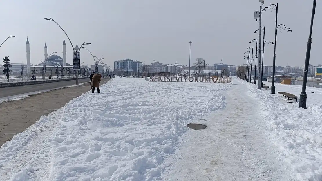 Soğuk ve ayaz Ağrı'da gündelik hayatı zorluyor