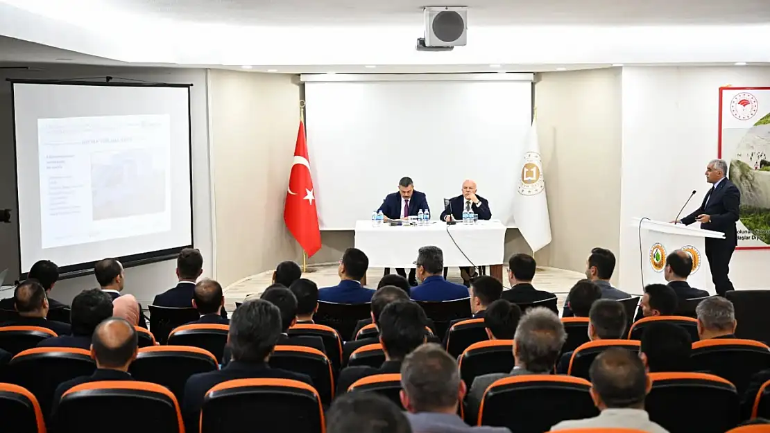Sokak Hayvanları İçin Yeni Tedbirler: Rehabilitasyon Merkezleri ve Koordinasyon Grubu Kuruldu