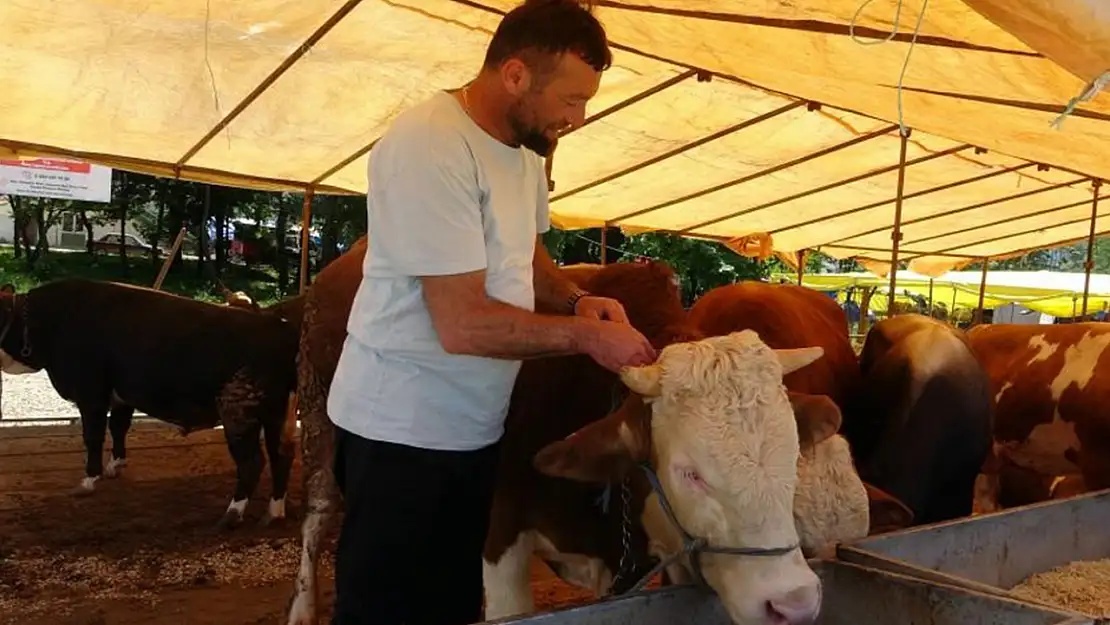 Tarım ve Orman Bakanlığı harekete geçti: 81 ilde hayvan pazarları kapalı