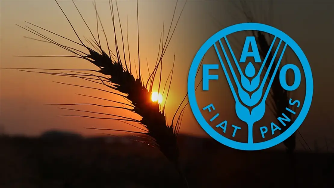Tarımda küresel vizyon: Türkiye FAO'da söz sahibi oluyor