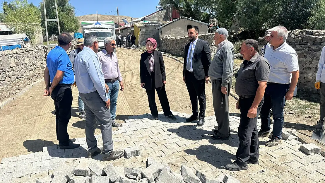 Taşlıçay'da köy yolları için kapsamlı inceleme
