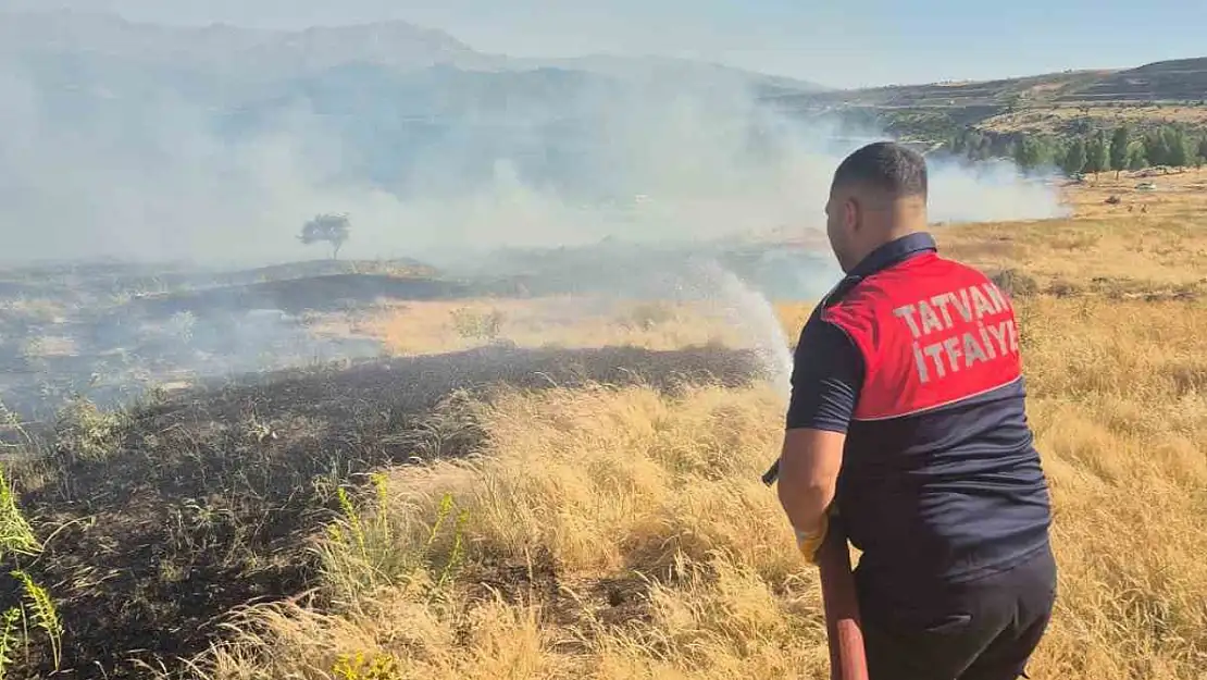 Tatvan'da Piknik Ateşi Yangın Çıkararak 45 Dönüm Alanı Küle Çevirdi