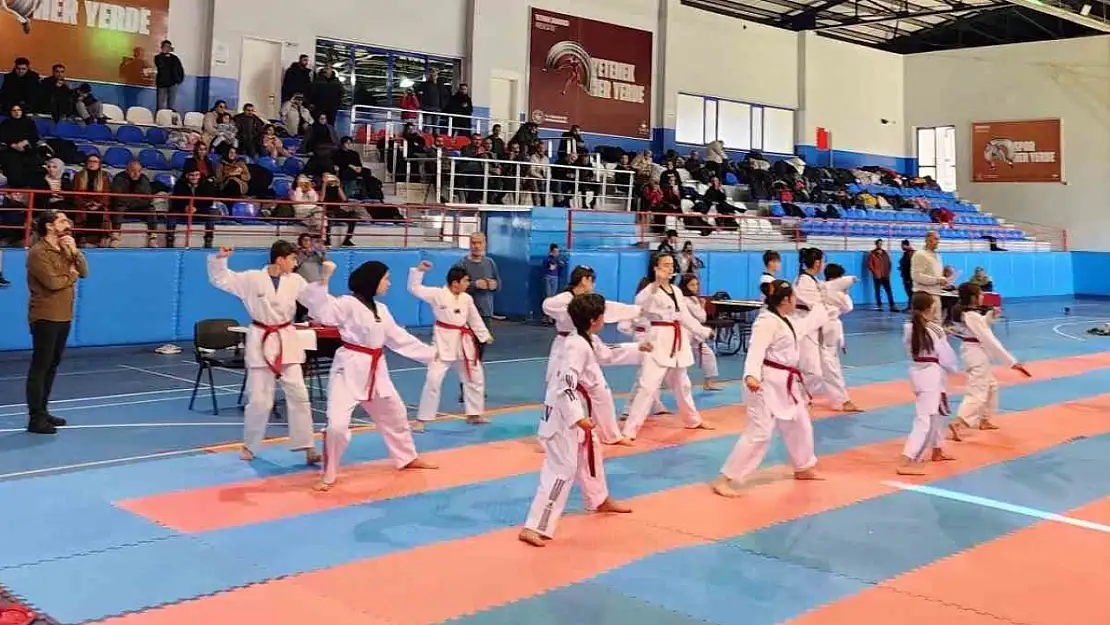 Tatvan'da Taekwondo heyecanı