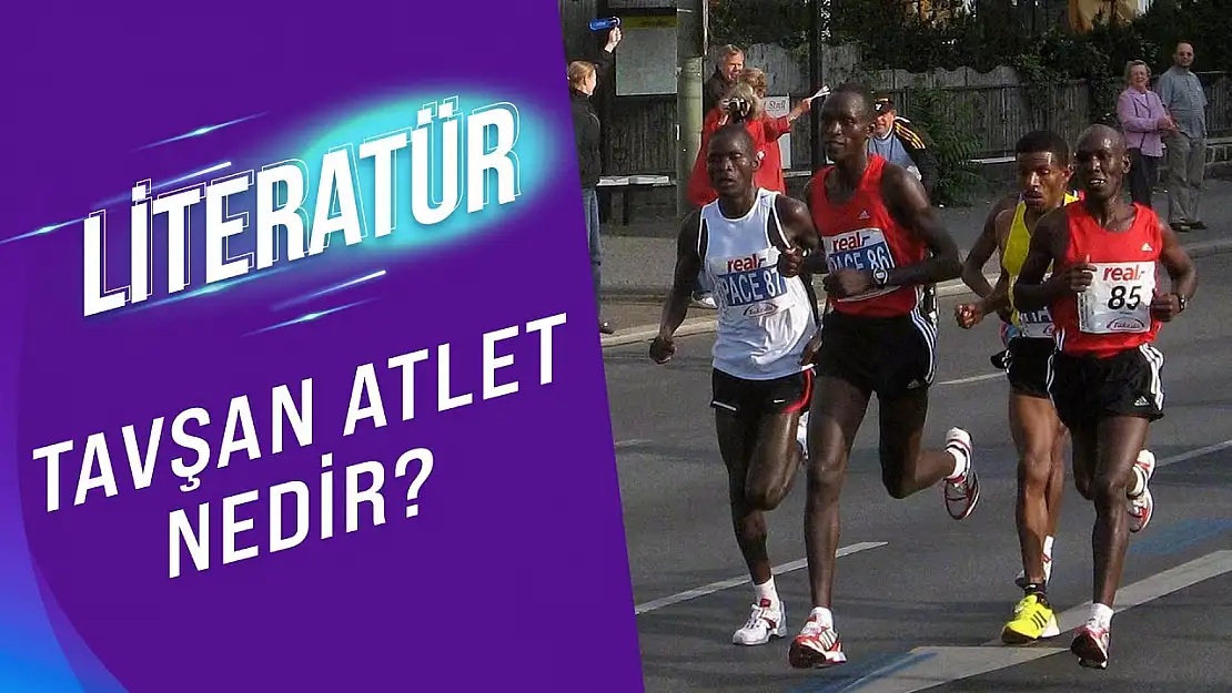 Tavşan Atlet Ne Demek?