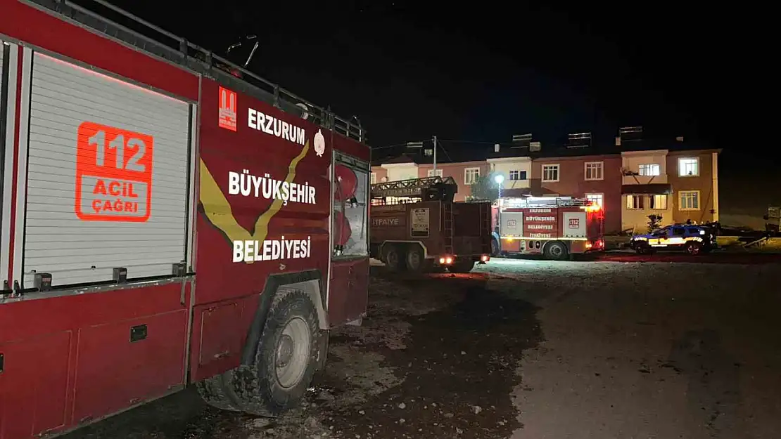 Tekman'da korkutan yangın: 5 hayvan telef, 1 ahır ve samanlık kül oldu