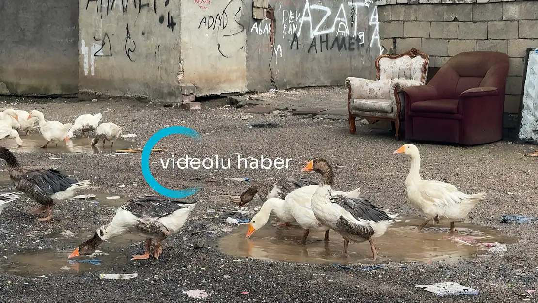 Temmuz yağmuru Ağrı'ya serinlik getirdi