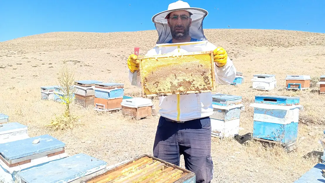 Tezeren'in doğal hazinesi: Coğrafi işaretli Geven Balı 81 ilde
