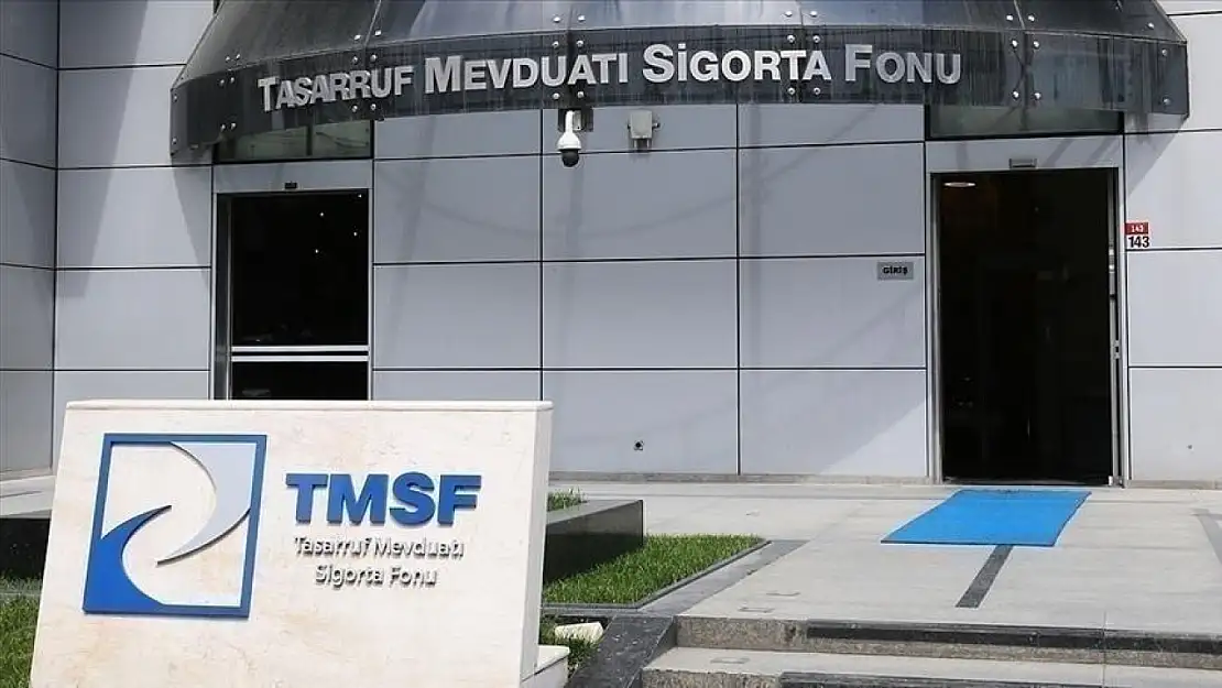 TMSF, iki şirketi satışa çıkardı