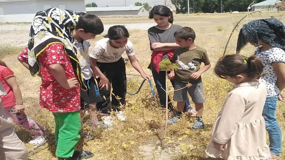 TÜGVA Patnos yaz okulunda, çocuklara çevre farkındalığı aşılanıyor