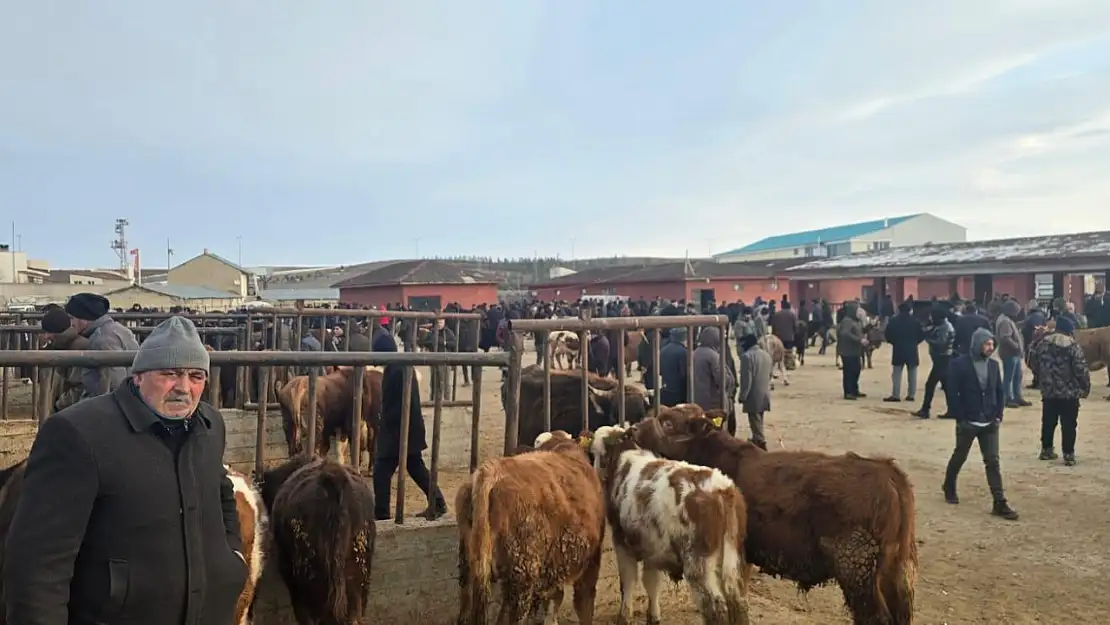 Türkiye'nin dört bir yanından tüccarlar Ağrı'ya akın ediyor