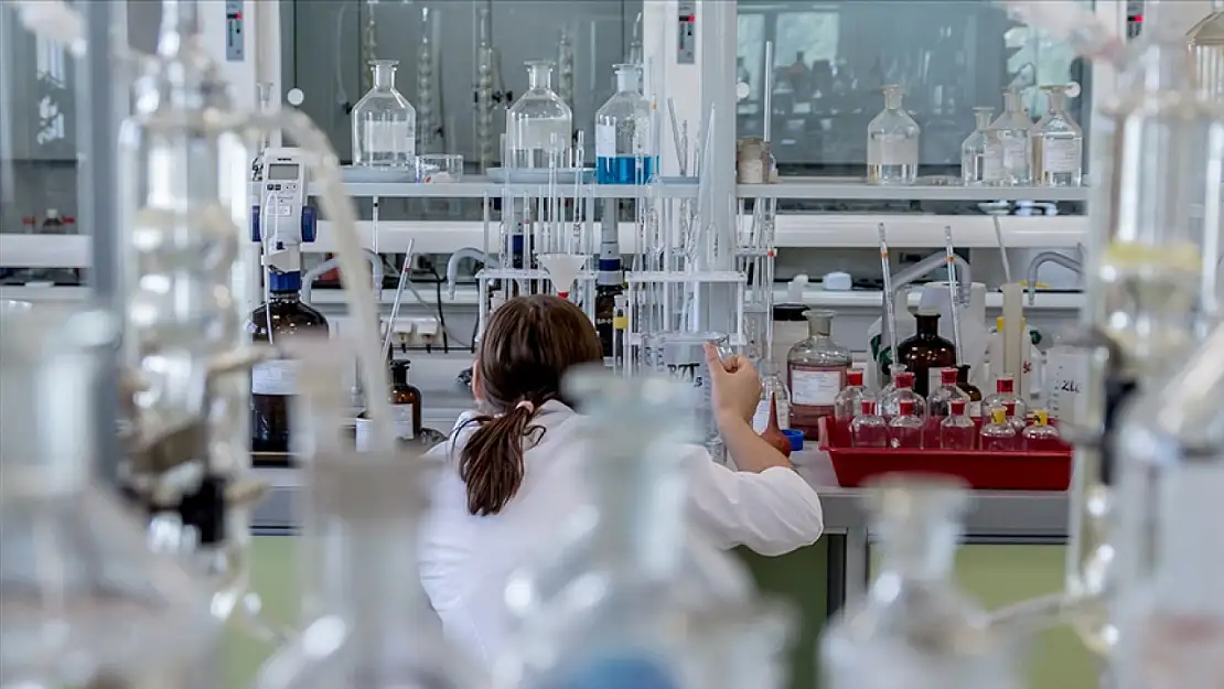 Türkiye'ye dönüş yapmak isteyen bilim insanlarına fırsat