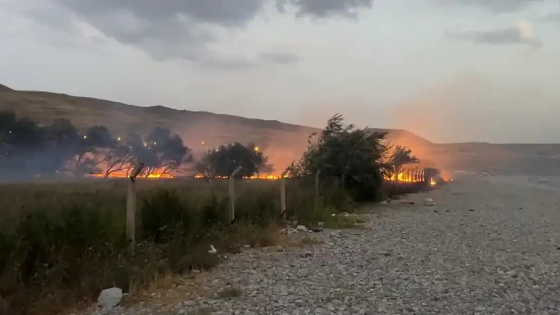 Tuşba'da ağaçlık alanda yangın: İtfaiyeden kürekle müdahale!